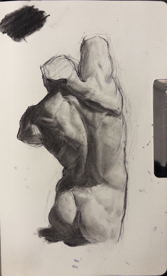 Graphite drawing study